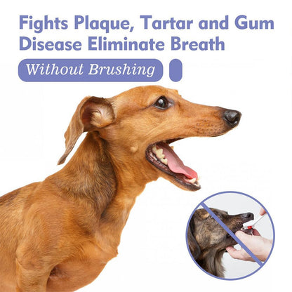 Tiworld Pet Tooth Cleaning Spray