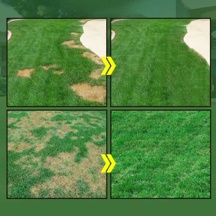 🔥🔥GreenRevive HydroSeeding Lawn Solution