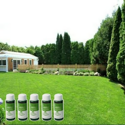 🔥🔥GreenRevive HydroSeeding Lawn Solution