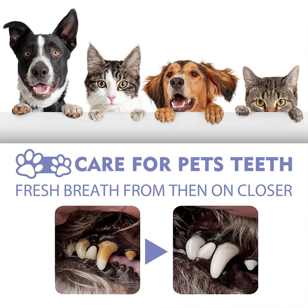 Tiworld Pet Tooth Cleaning Spray