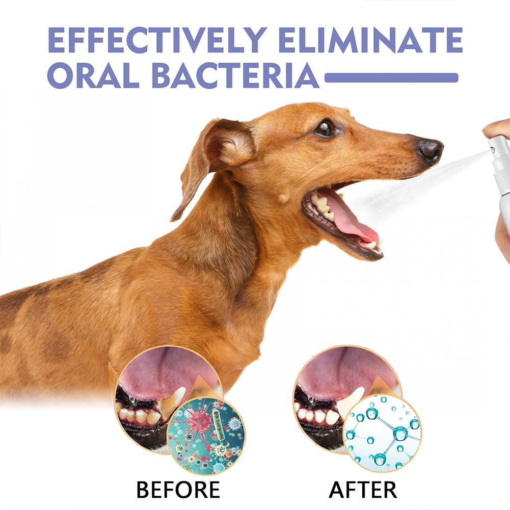 Tiworld Pet Tooth Cleaning Spray