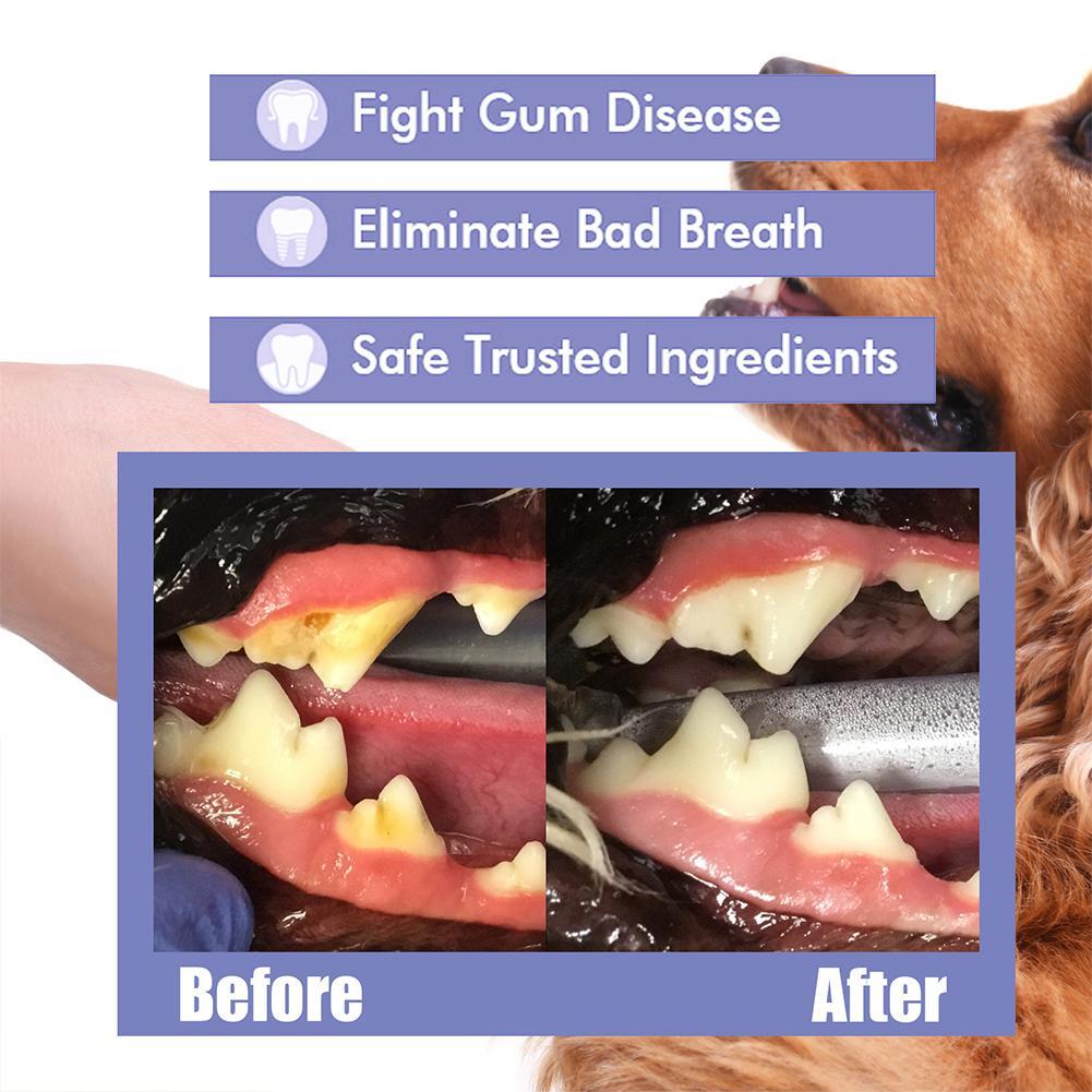 Tiworld Pet Tooth Cleaning Spray